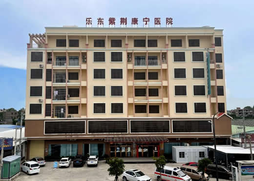 乐东紫荆康宁医院