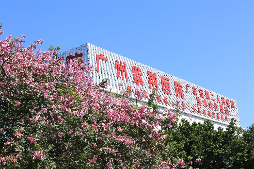 广州紫荆医院
